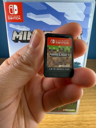 Minecraft per Nintendo Switch