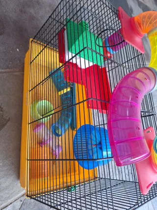 Jaula para hámster multicolor con tubos