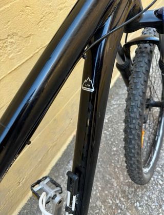 Bicicleta Specialized L/19