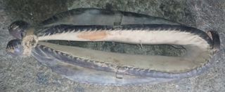 Aparejo, colleron, albardon