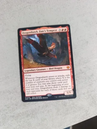 Dragonhawk, Fate's Tempest Magic: The Gathering