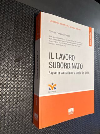 Il Lavoro Subordinato - Ferrante Vincenzo