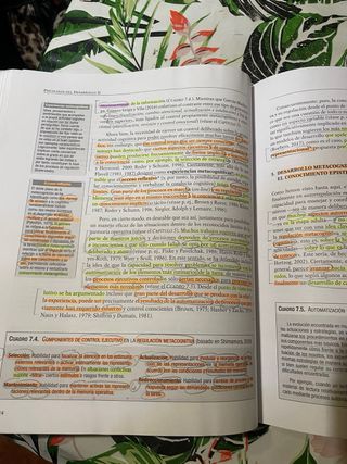 Psicología del desarrollo II