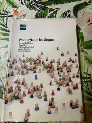 Psicología de los grupos (GRADO) (Spanish Edition)