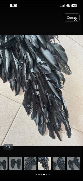 Alas de disfraz negras ENVIO SOLO IMPOST