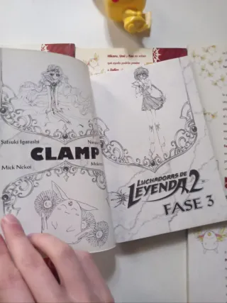 Luchadoras de Leyenda 2 – CLAMP en español 6 tomos
