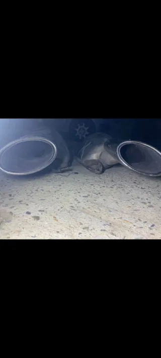 Escape Mercedes AMG V6