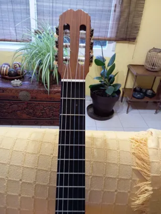 Guitarra Española con Funda