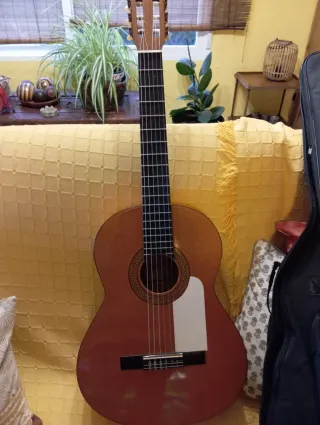 Guitarra Española con Funda