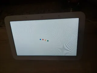 Google Nest Hub 2ª Gen
