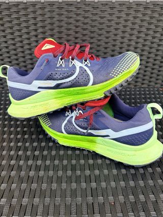 Zapatillas Nike Pegasus Trail 42.5