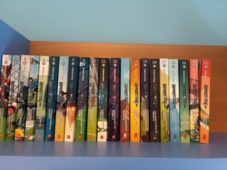 Lote de 21 libros de “Los Futbolísimos”