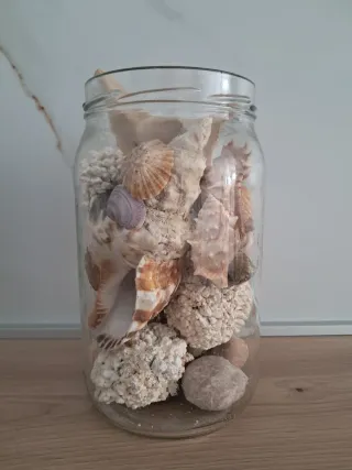 Tarro Decorativo: Corales, Conchas y Piedras