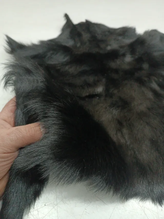 Piel de cabra marrón testa