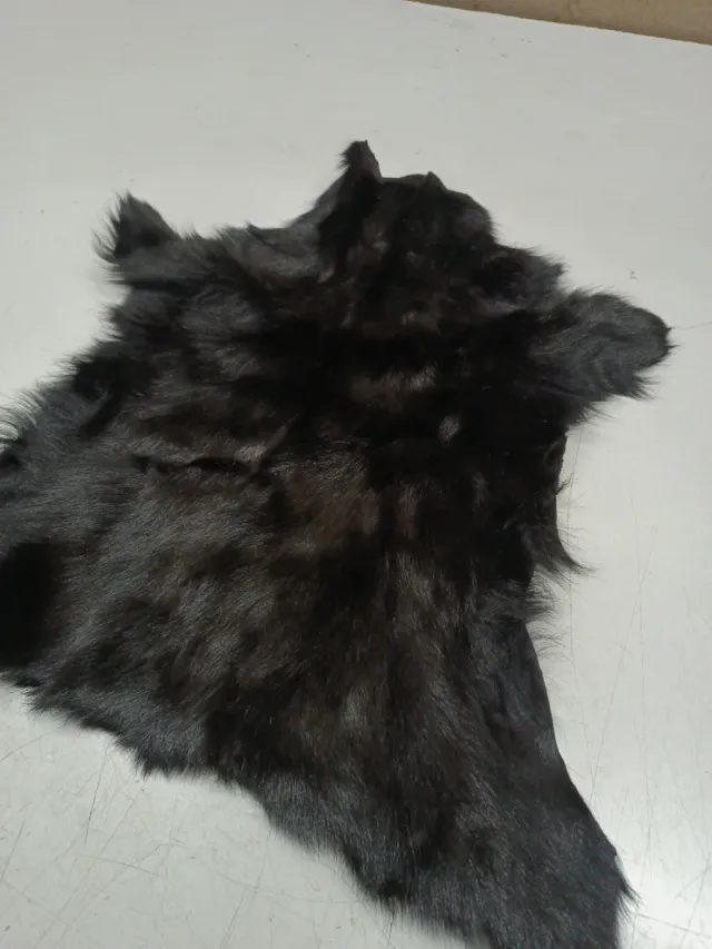 Piel de cabra marrón testa