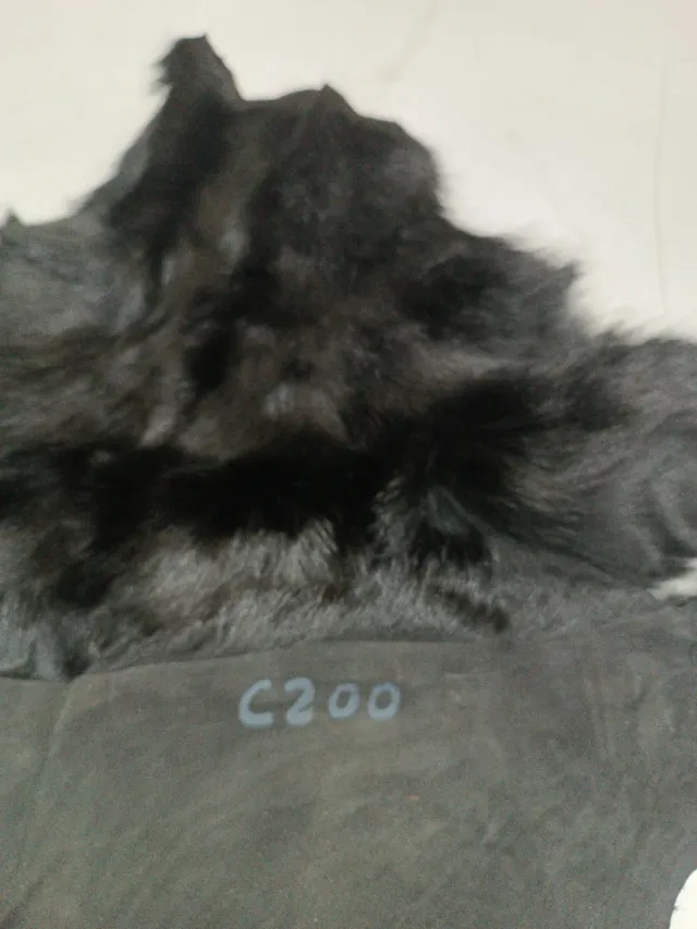 Piel de cabra marrón testa