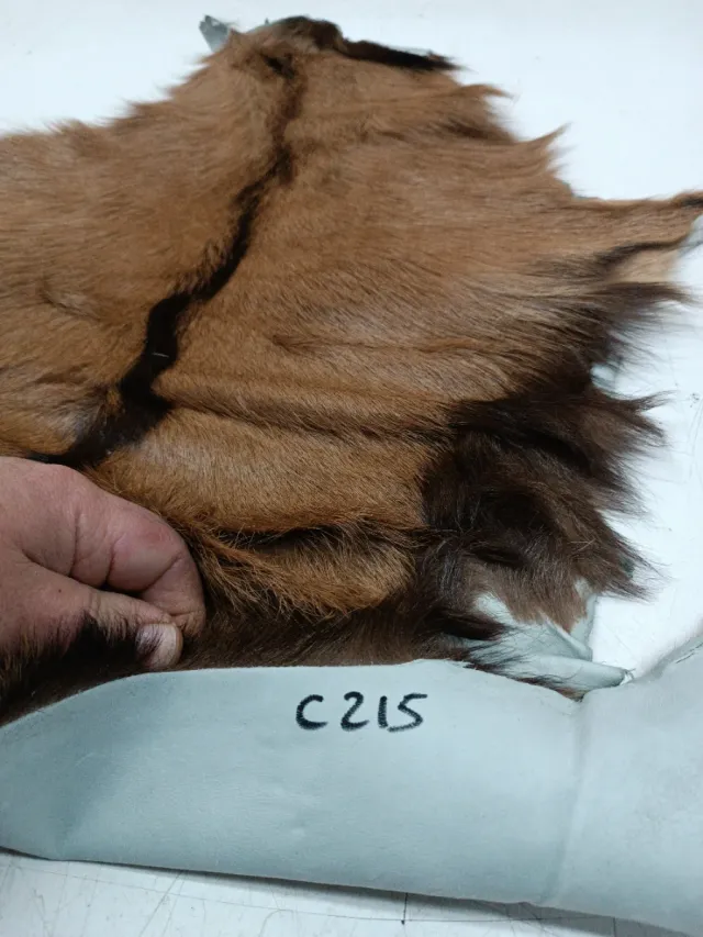 Piel de cabra natural