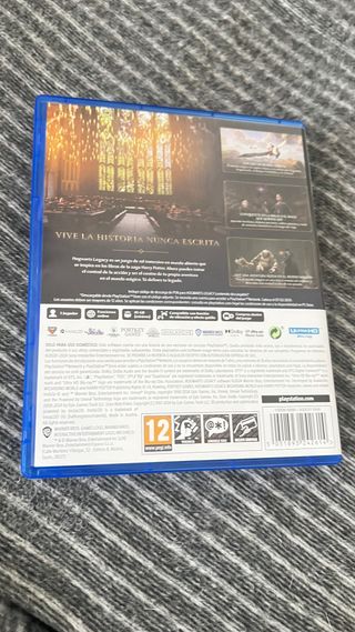 Hogwarts Legacy PS5