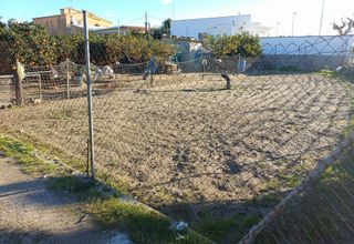 Una oportunidad no debe perderse......¡!