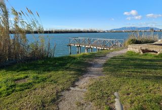 Una oportunidad no debe perderse......¡!