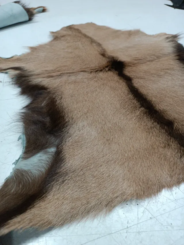 Piel de cabra para decoración