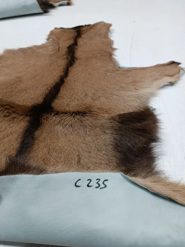 Piel de cabra natural