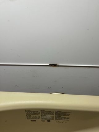 Bañera Bebé Jane Flip