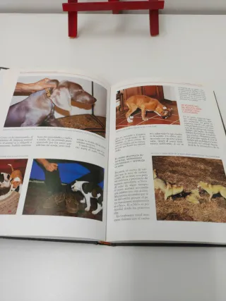 La Enciclopedia de la Educacion del Perro