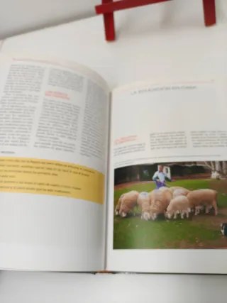 La Enciclopedia de la Educacion del Perro