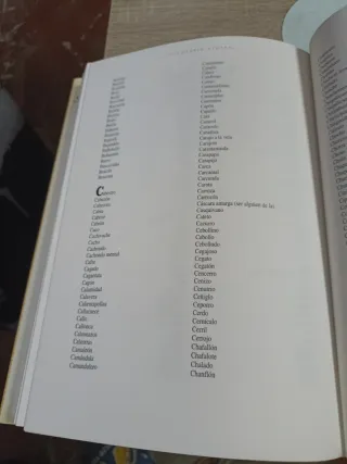 Inventario General De Insultos/ General Invento...