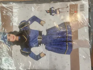 Disfraz paje real mujer talla única