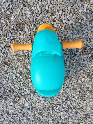 Vasino a forma di anatra