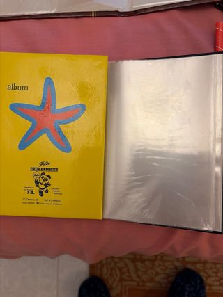 Lote de 10 Álbumes de fotos de diferentes tamaños