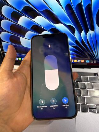 iPhone 13 Pro Max 256GB