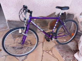 Bicicleta Montaña Road Fighter Morada