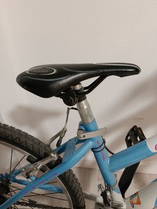 Bicicleta infantil azul
