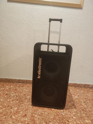 Amplificador TC Electronic + 2 Pantallas + Pedal