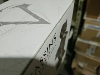 Busti Connor Kenway e Aveline De Grandpre