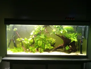 Acuario 200 litros completo