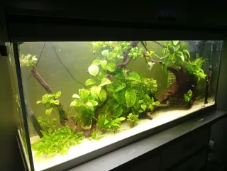 Acuario 200 litros completo