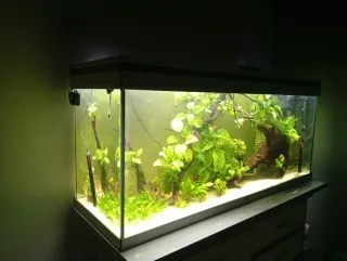 Acuario 200 litros completo