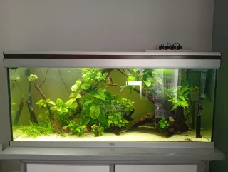 Acuario 200 litros completo