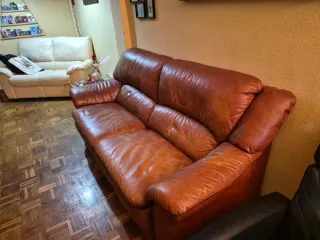 Sofá de cuero marrón