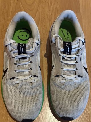 Nike Pegasus 40 Talla 40
