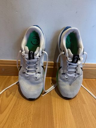 Nike Pegasus 40 Talla 40