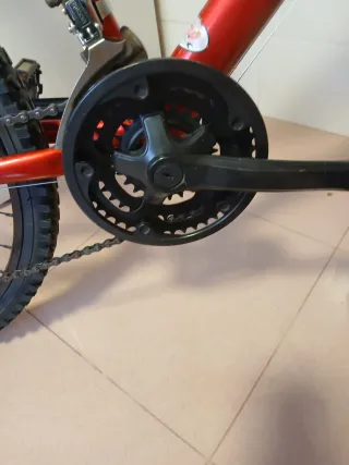 Bicicleta de montaña Gotty