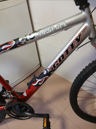 Bicicleta de montaña Gotty