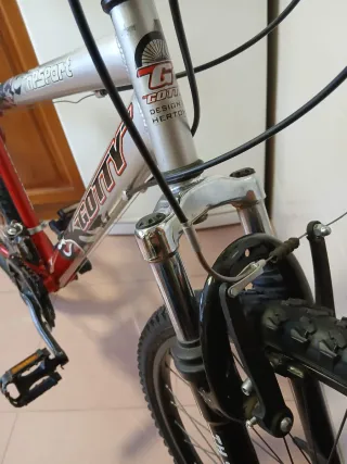 Bicicleta de montaña Gotty