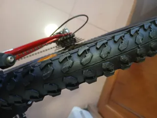 Bicicleta de montaña Gotty