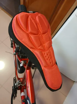 Bicicleta de montaña Gotty